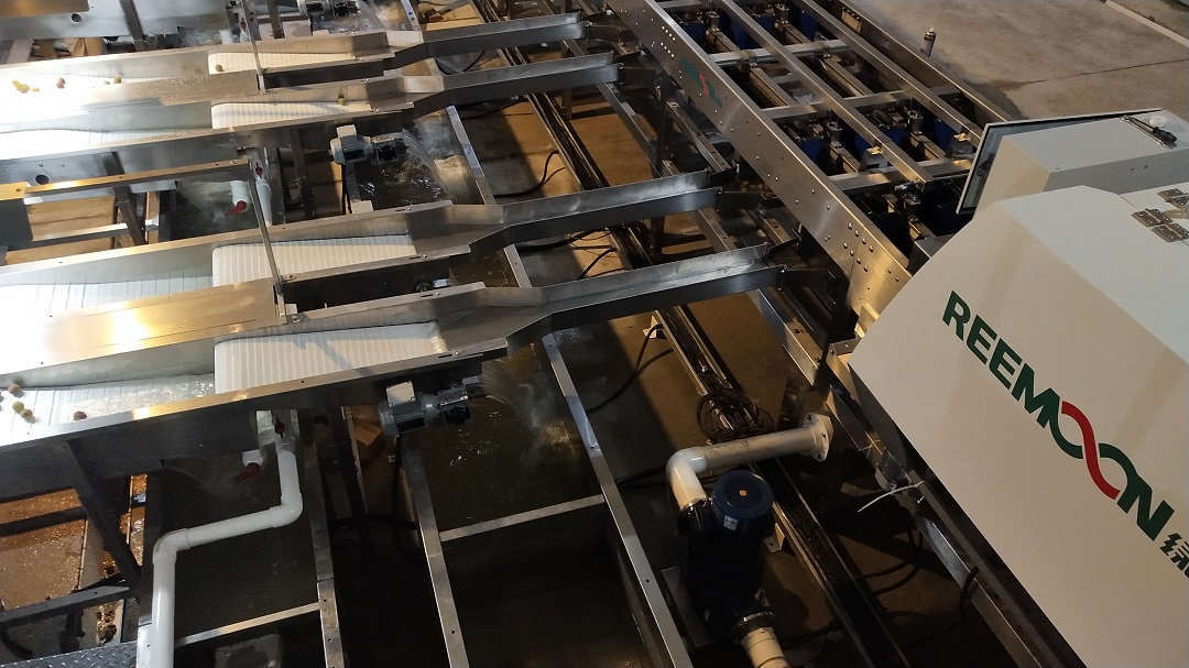 1621330770694133.jpg IMG_4452.JPG