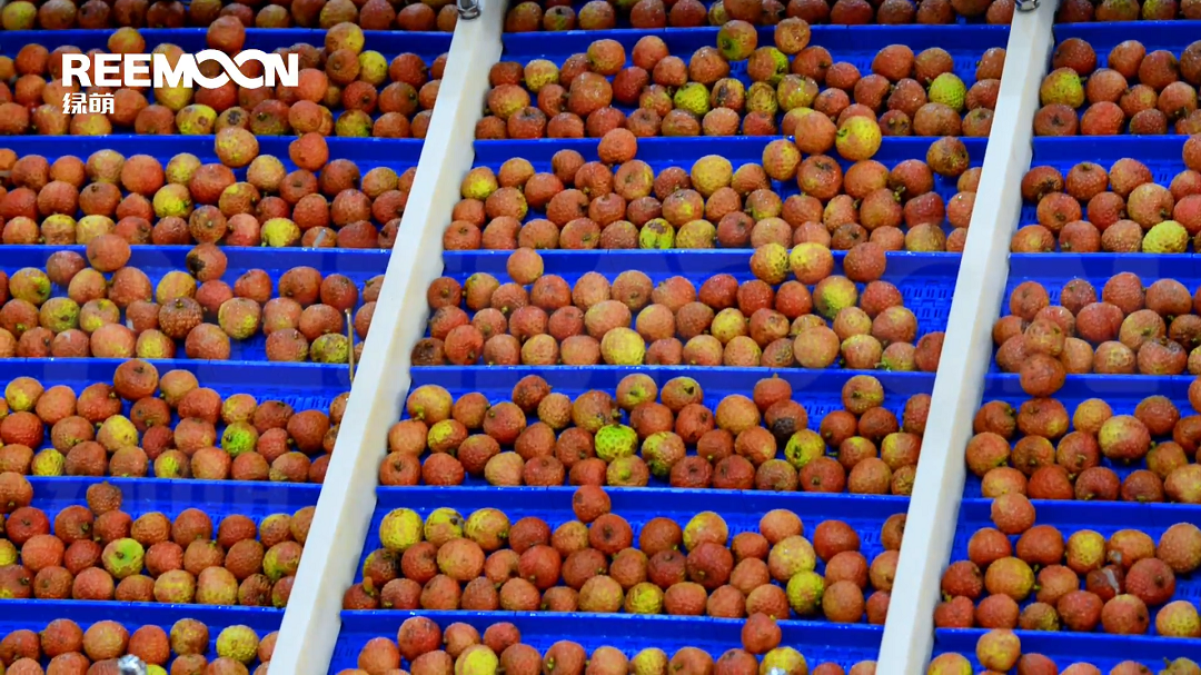 1621330949178258.png 提升上料.png