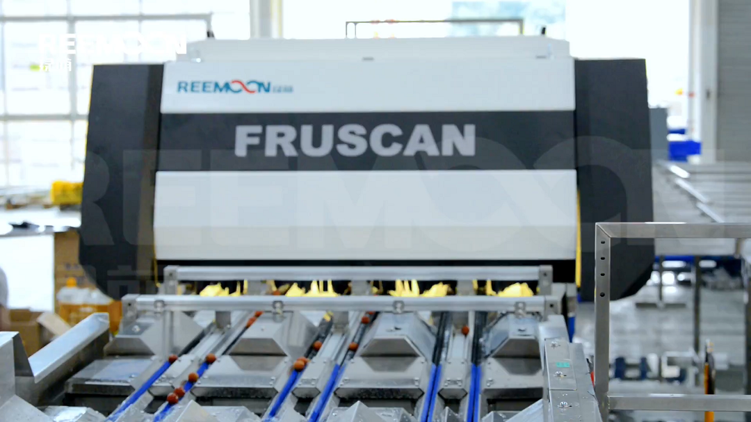 1621330972125682.png 光學檢測.png