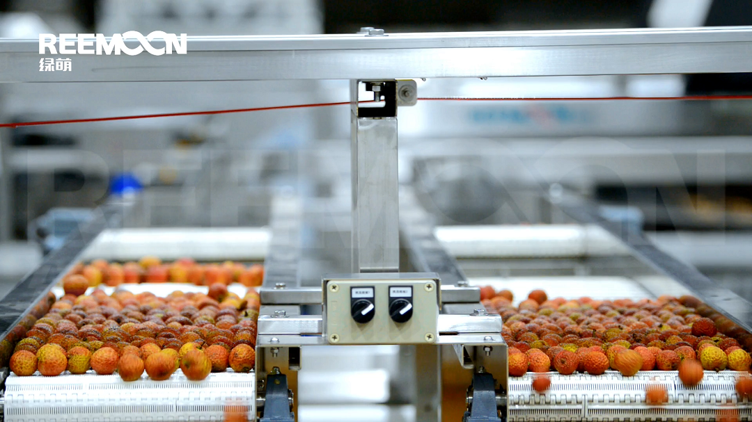 1621330984203618.png 定量裝箱.png