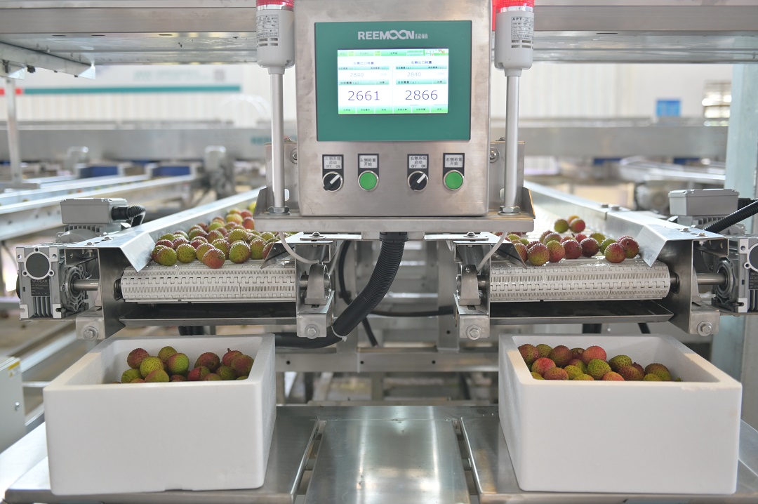 1624611749537339.jpg 出口包裝.JPG