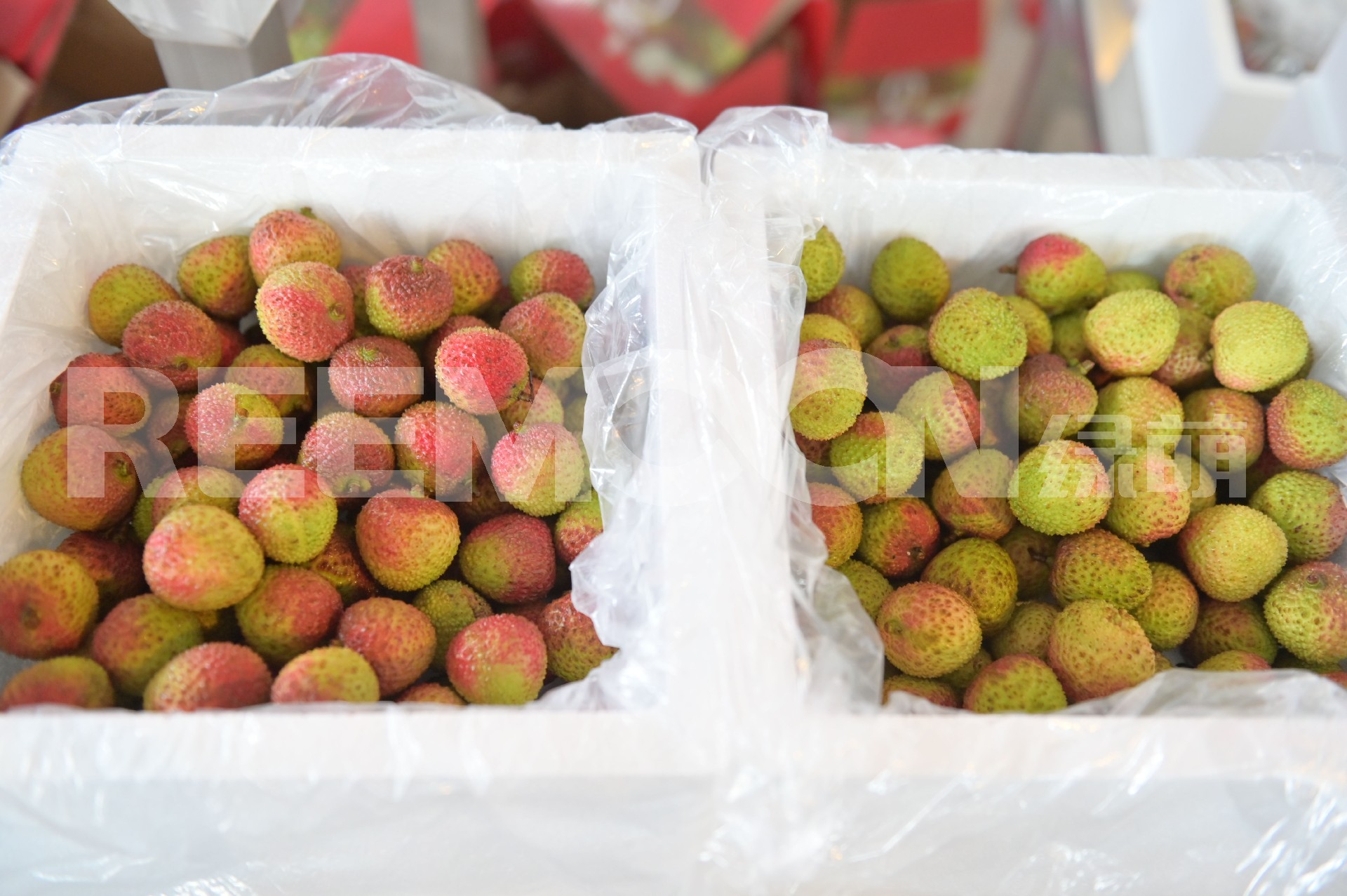 1624611759171296.jpg 荔枝對比加水印.jpg