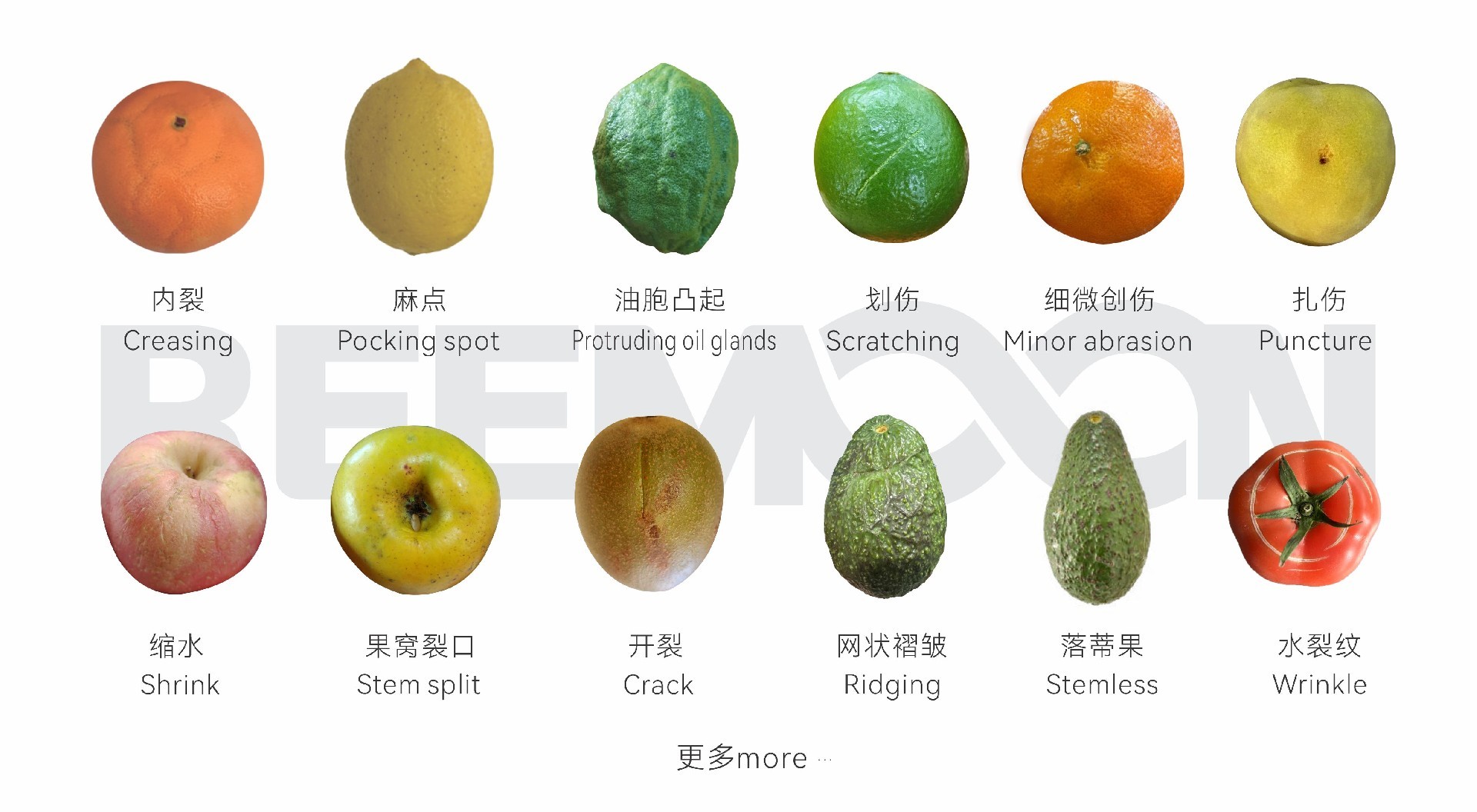 1759976452165209.jpg 微信圖片_20250903174234 - 副本.jpg