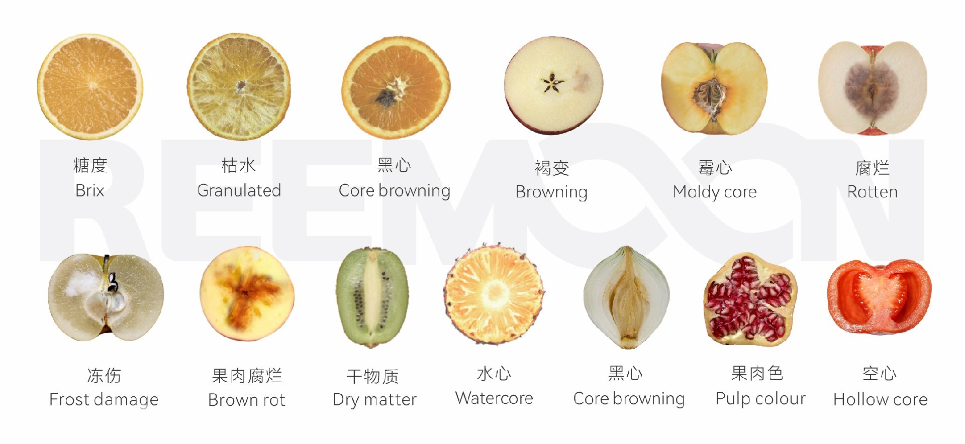 1759976465273153.jpg 柑橘EVO7.jpg