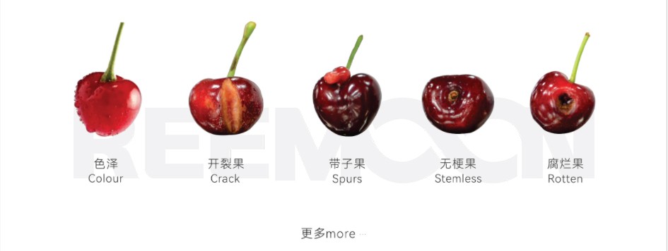 1759976488272080.jpg 車厘子瑕疵.jpg