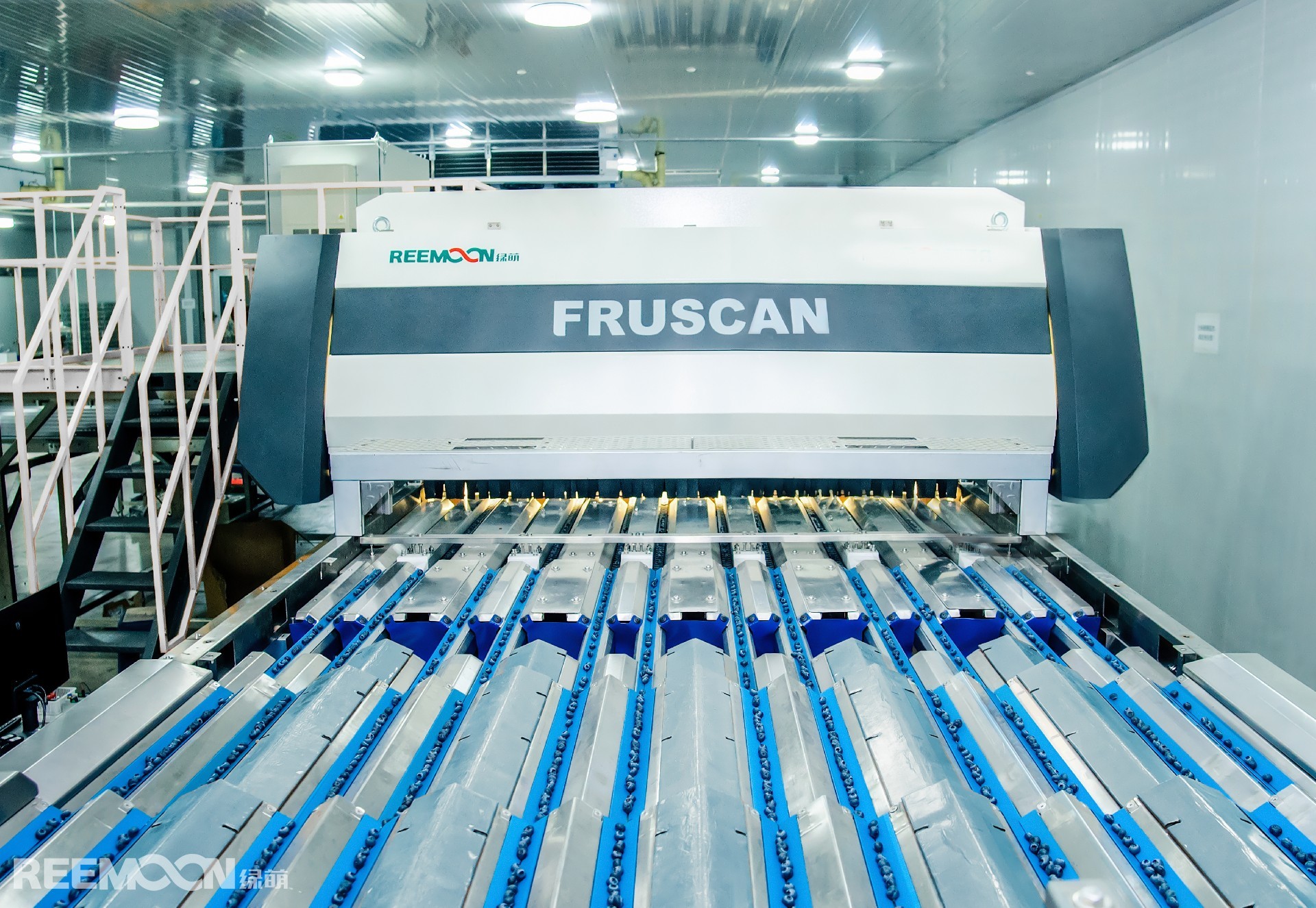 1759976561200383.jpg 藍莓 - 副本.jpg